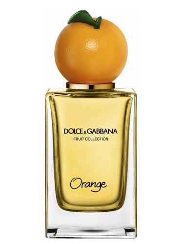 Orange Dolce&Gabbana