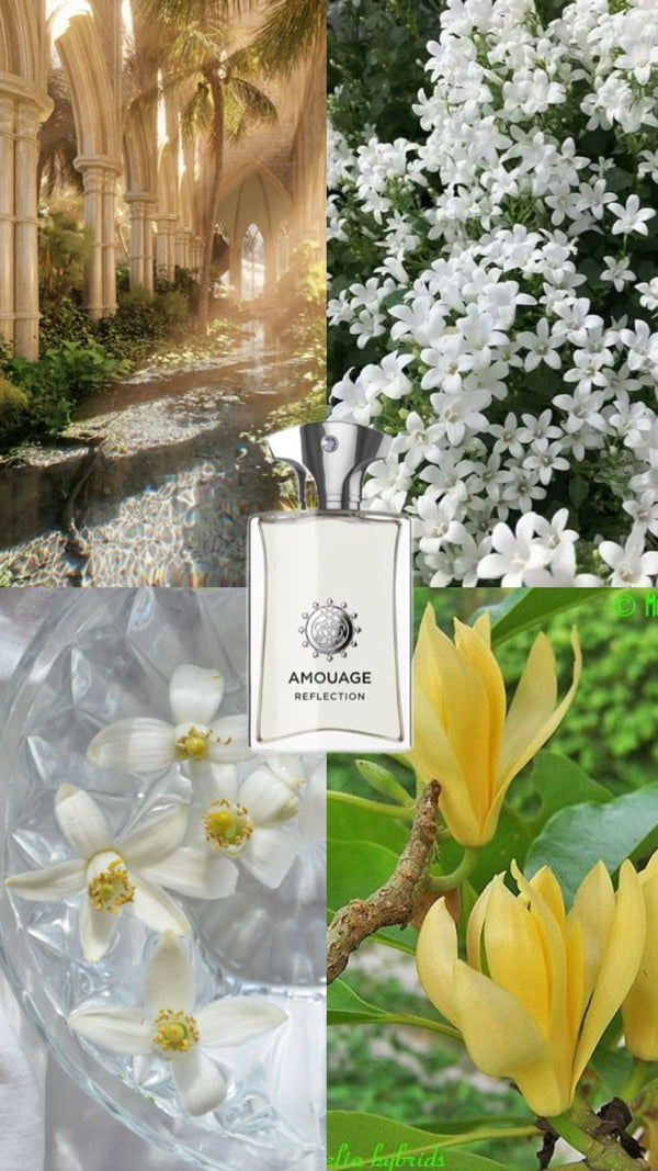 Reflection Man Amouage