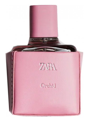 Zara Orchid