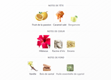 Love Hibiscus Amouage