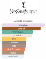 Kouros Yves Saint Laurent