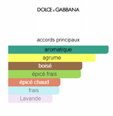 Dolce & Gabbana King