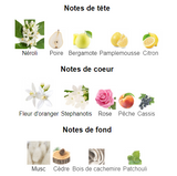 Chloé Love Story
