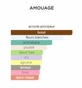 Reflection Man Amouage
