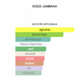 Orange Dolce&Gabbana