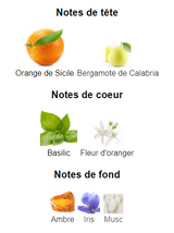 Orange Dolce&Gabbana