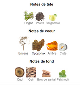 Interlude Man Amouage