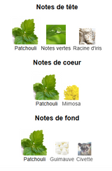 Sole Patchouli Vertus