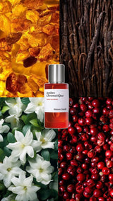 Ambre Chromatique Maison Crivelli