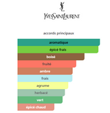 Yves Saint Laurent Y