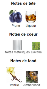 Strong Me Rabanne